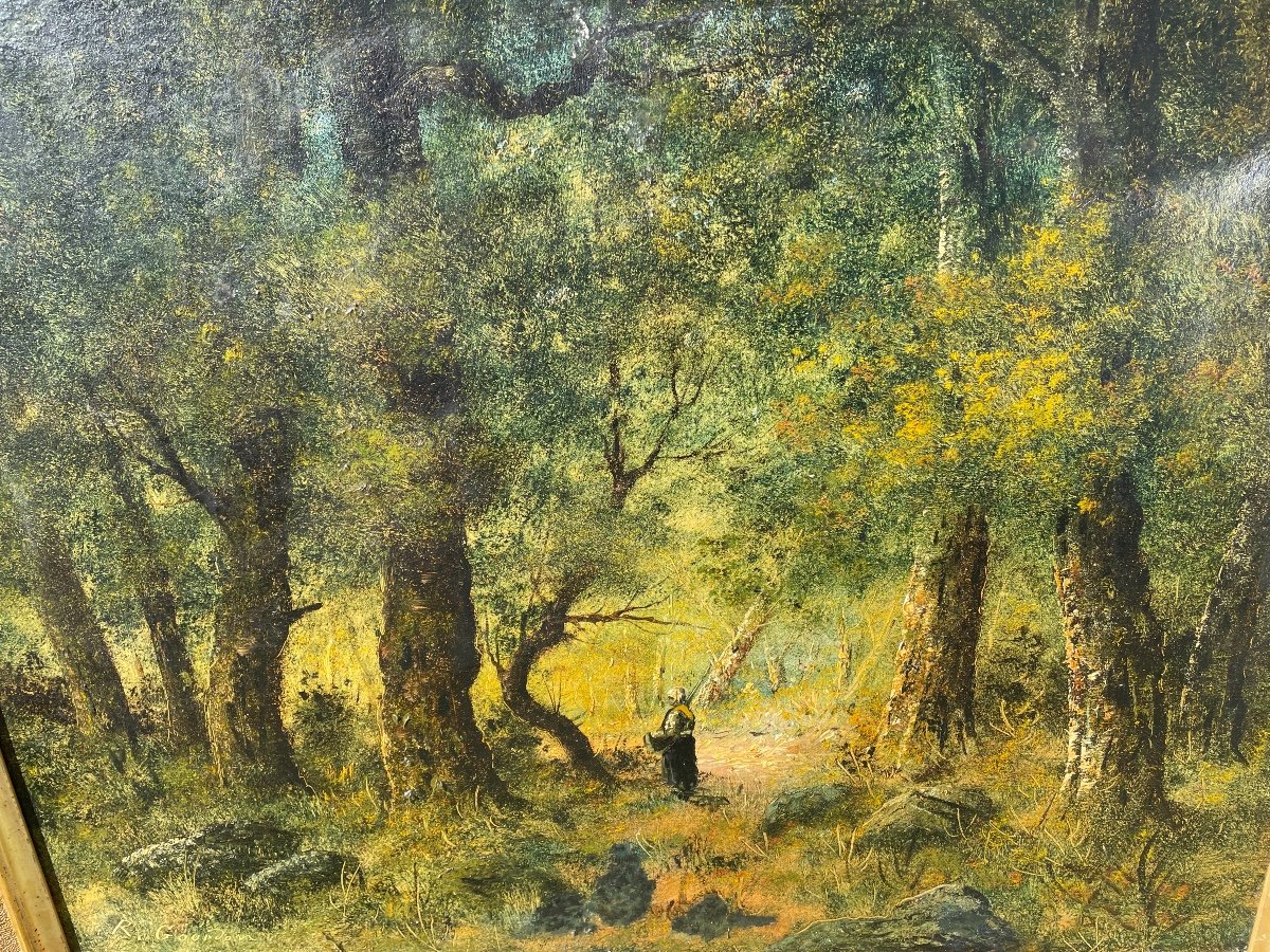Fagotiere Sous Bois De Gourdon-photo-5
