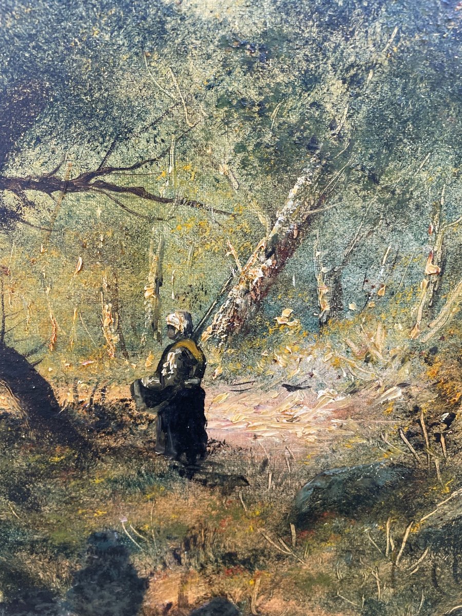 Fagotiere Sous Bois De Gourdon-photo-8