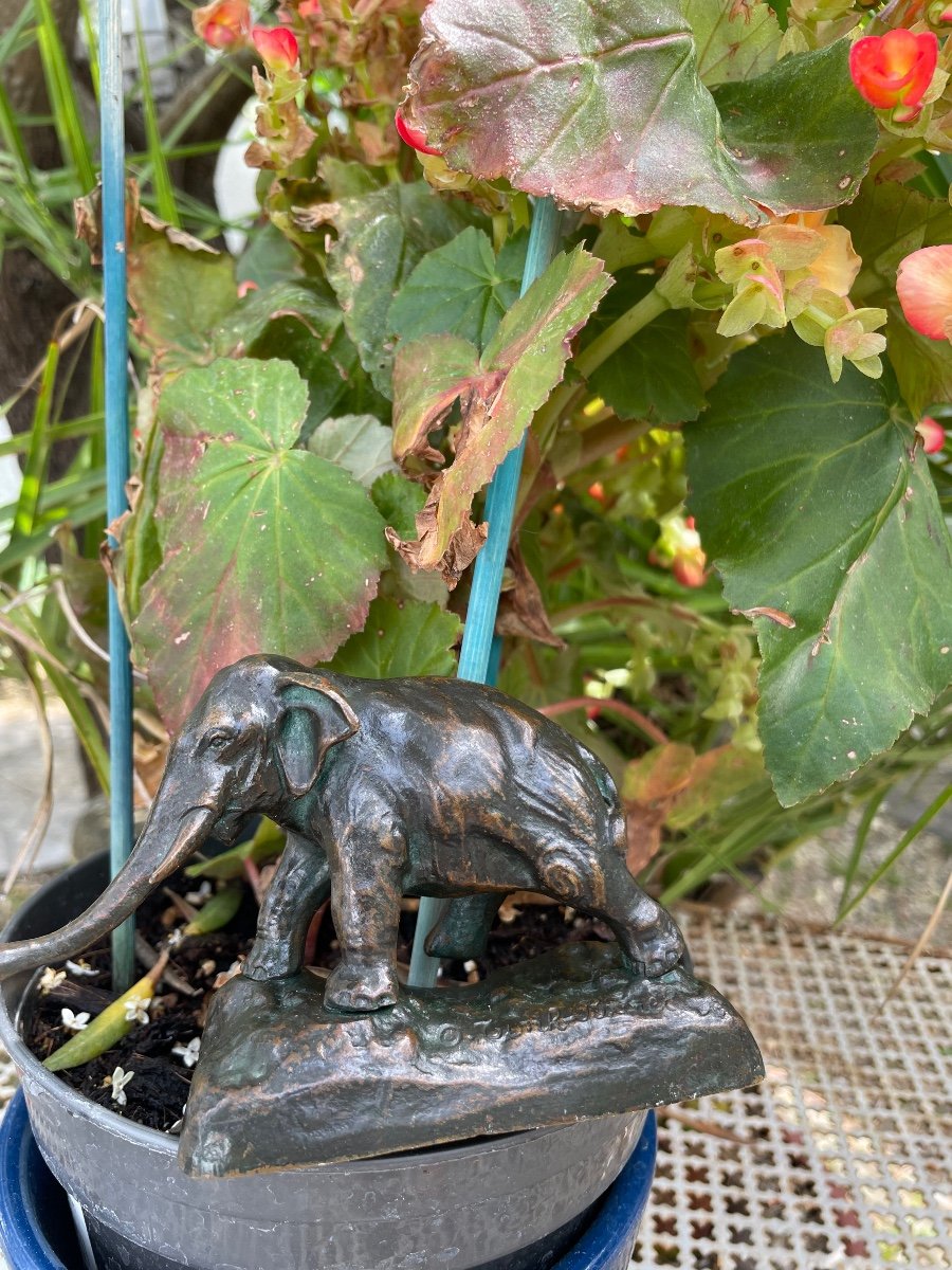 African Elephant Bronze-photo-1