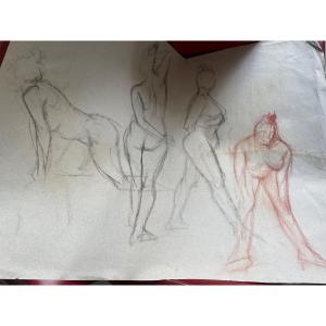 Drawing Study Of Women 