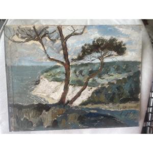 Littoral et pins parasols 