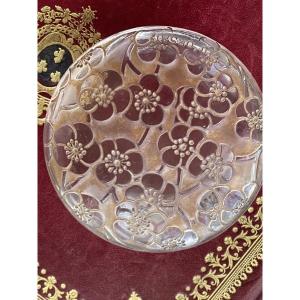 Boîte cristal de R. Lalique  