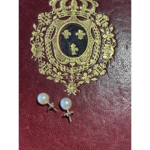Gold And Pearl Earrings 