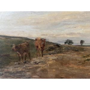 Shepherdess And Her Cows 