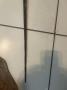 1701612-alb-698489ef607c3.jpg