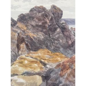 Watercolor: The Mallow 1871 