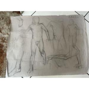 Anatomy Study Drawings For Men 