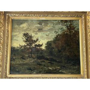 Forest Landscape By Léonce Chabry 