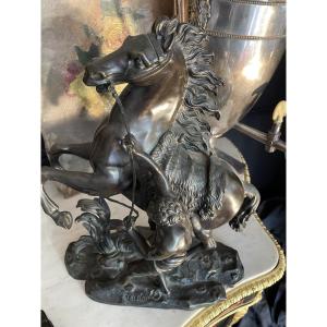 Bronze cheval de Coustou 