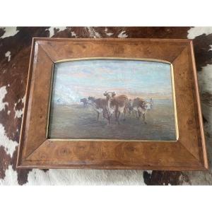 Les vaches au pré 
