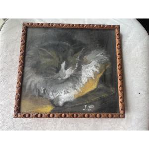 Pastel The Cat At Rest