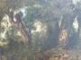 1803413-6a6f832c238d1.jpg