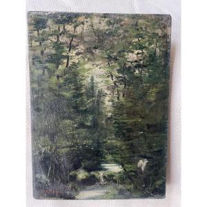 Small Stream In The Forest