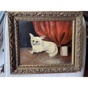 Le petit chien de salon 