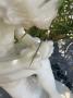 1820758-alb-6aa58165a7a56.jpg
