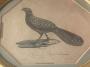 1824777-6aafad21bd87e.jpg