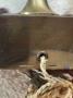 1834992-6ac89a6ee7bd9.jpg