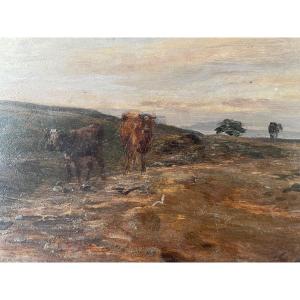 Bergère Et Ses Vaches 