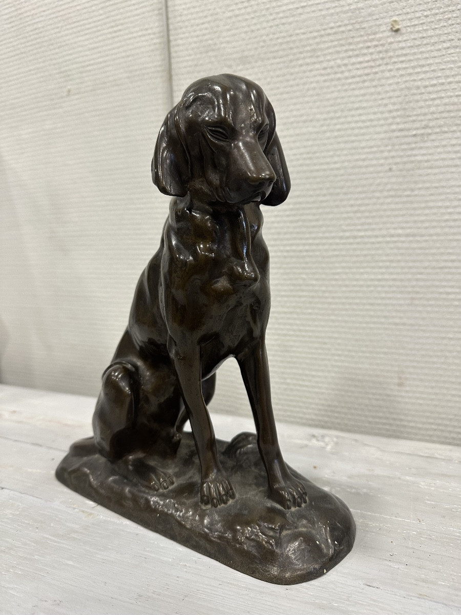 Bronze Hunting Dog-photo-2