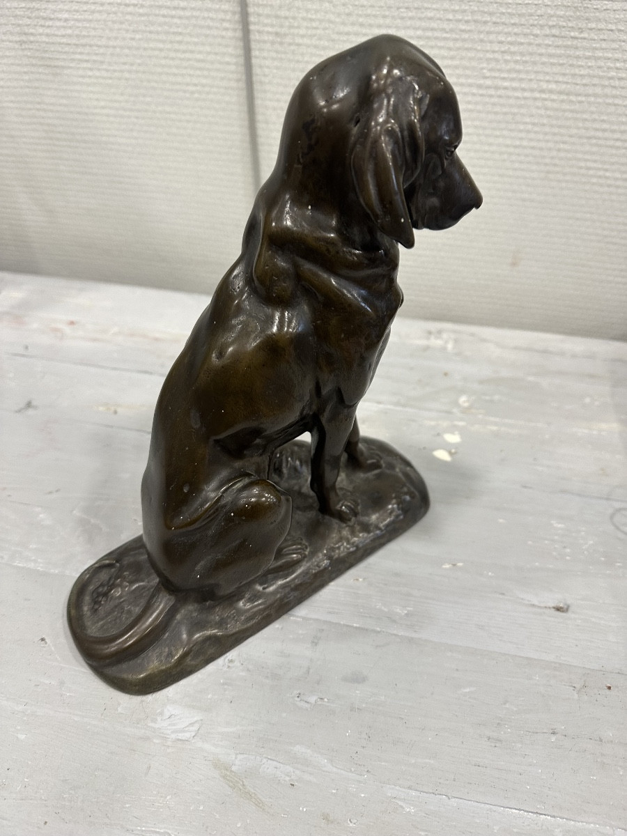 Bronze Hunting Dog-photo-4