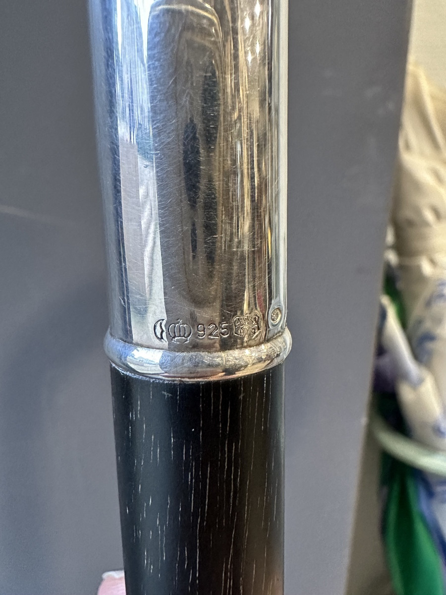 Canne Fayet aigle-photo-4