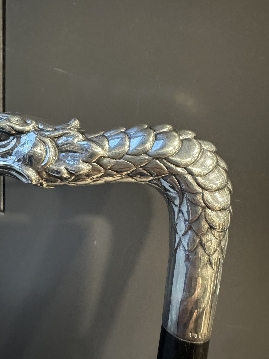 Fayet Dragon Cane-photo-1