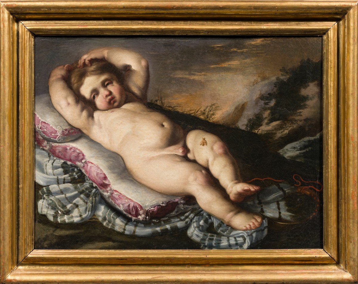 Bernardino Mei (siena, 1612- Roma 1676)  Cherub