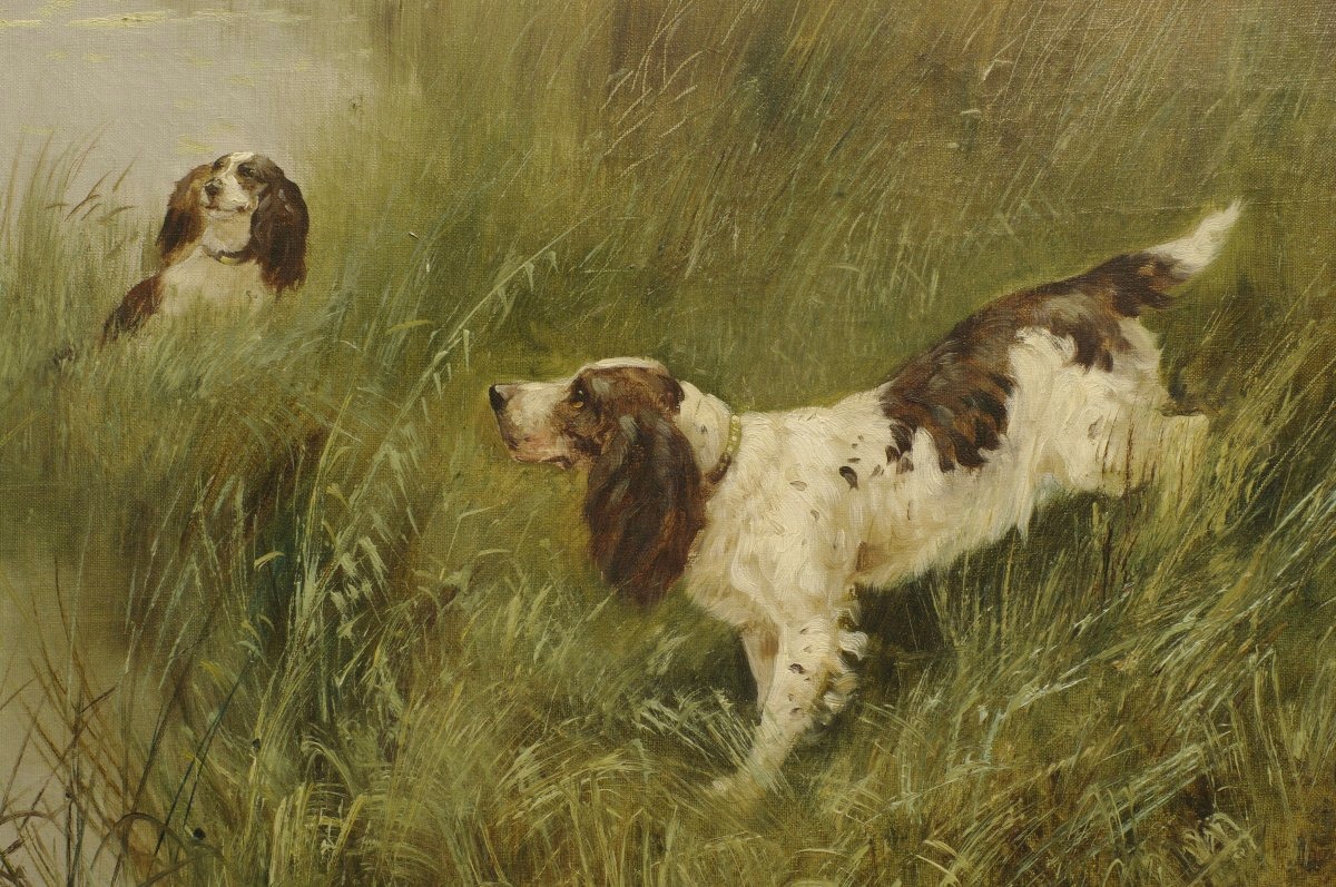 Emile Godchaux vers 1910 Chiens de chasse Epagneul Français-photo-3