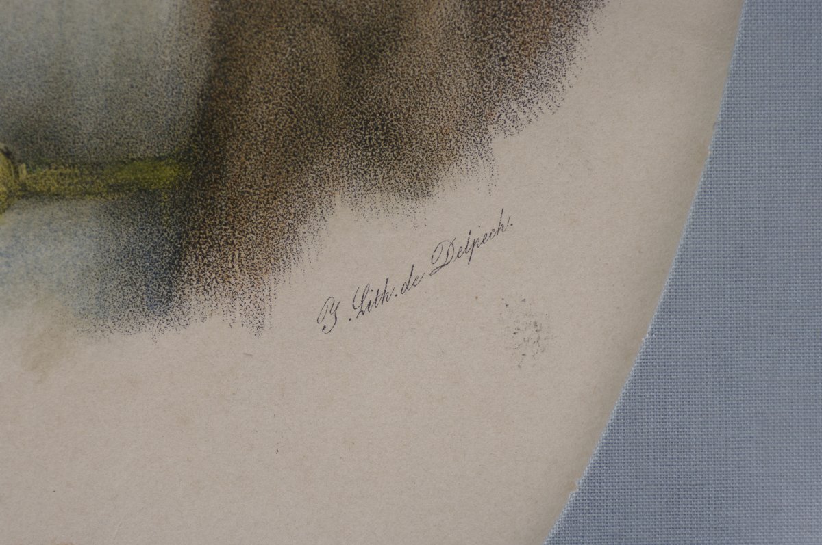 Original Lithograph Mme Lavalette By Delpech-photo-3