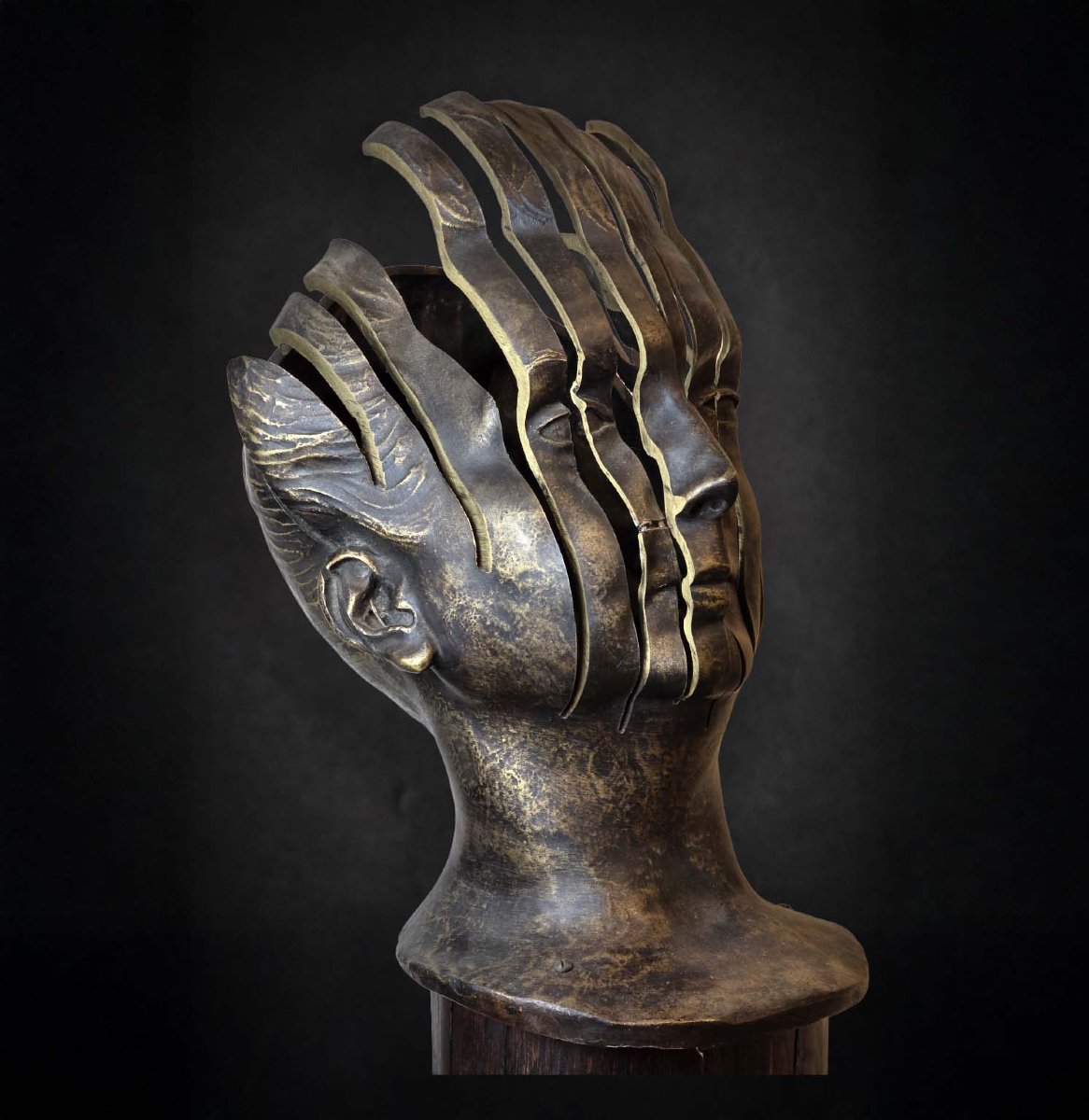 Buste en bronze signé René Hetzel-photo-4