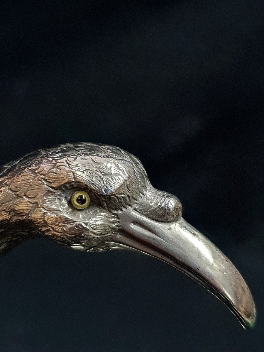 Canne "ibis" Pommeau Argent-photo-3