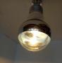 1195980-650adbf582ea4.jpg