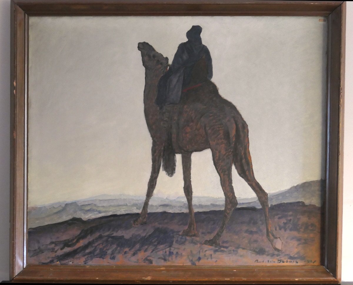 Paul Elie Dubois - Tuareg Meharist