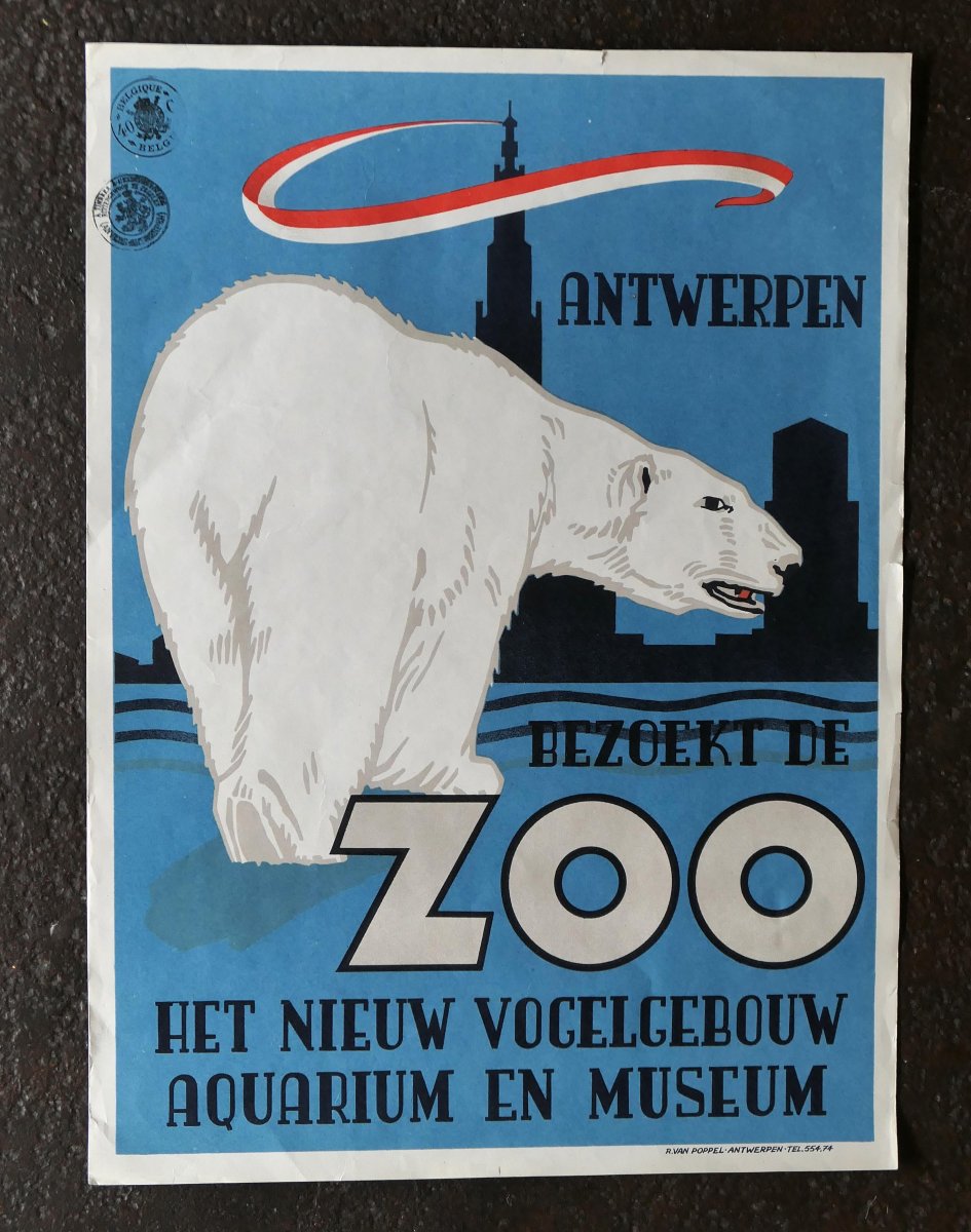 Affiche - Zoo d'Anvers-photo-2