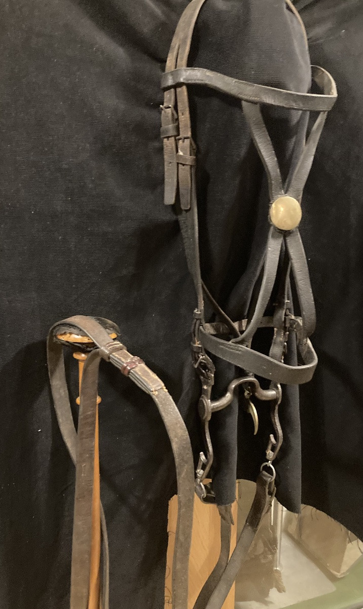 Bride de Troupe de Hussard avec certificat de ma collection. Consulat - Premier Empire-photo-4