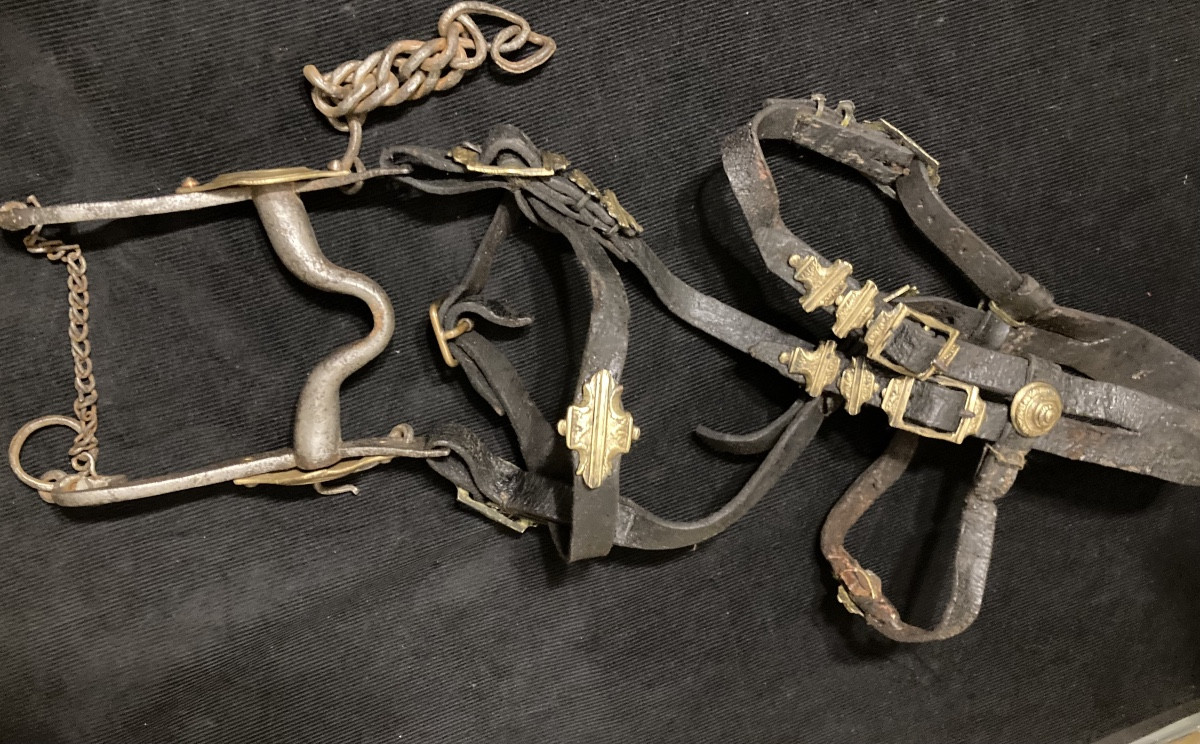 Bride d’Officier Supérieur; Fin XVIIIe, Révolution, Consulat/ Empire.-photo-1