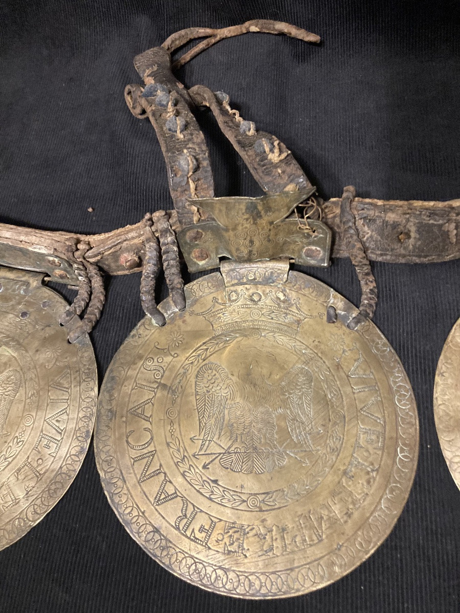 Ensemble de 3 plaques d’Harnachement de mulet de CANTINIÈRE du Premier  Empire.-photo-1