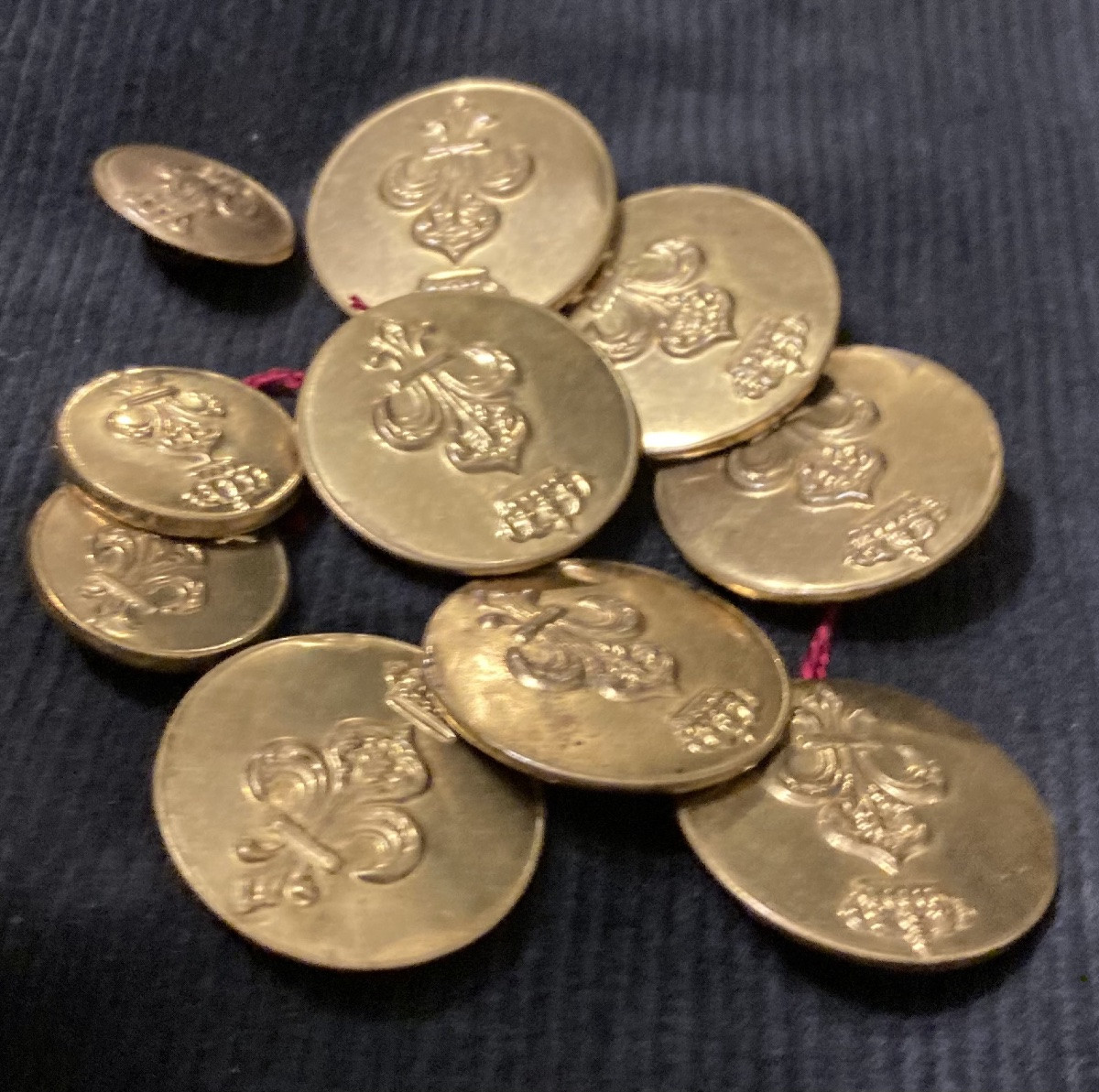 Set Of 10 1st Infantry Restoration Officer Buttons. With Lys Flower.-photo-2