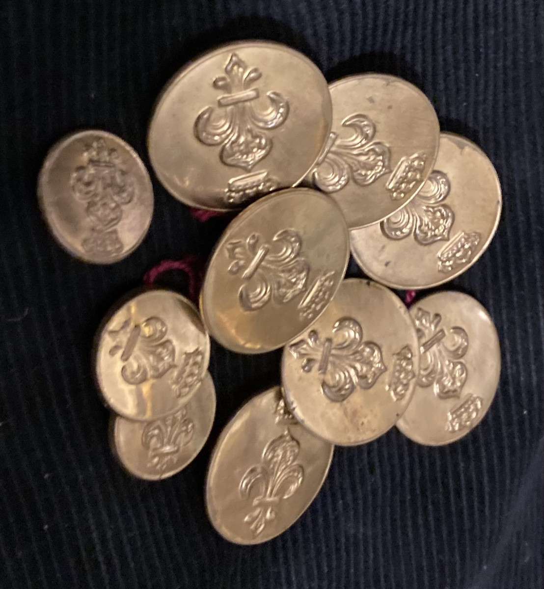 Set Of 10 1st Infantry Restoration Officer Buttons. With Lys Flower.-photo-4