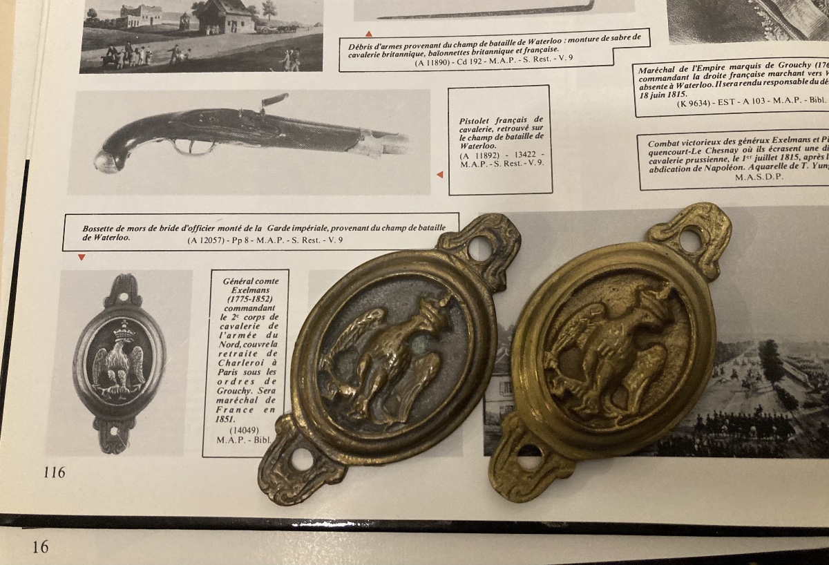 Paire de Bossettes de Mors de Bride d’officier monté de la Garde Impériale . Premier Empire.