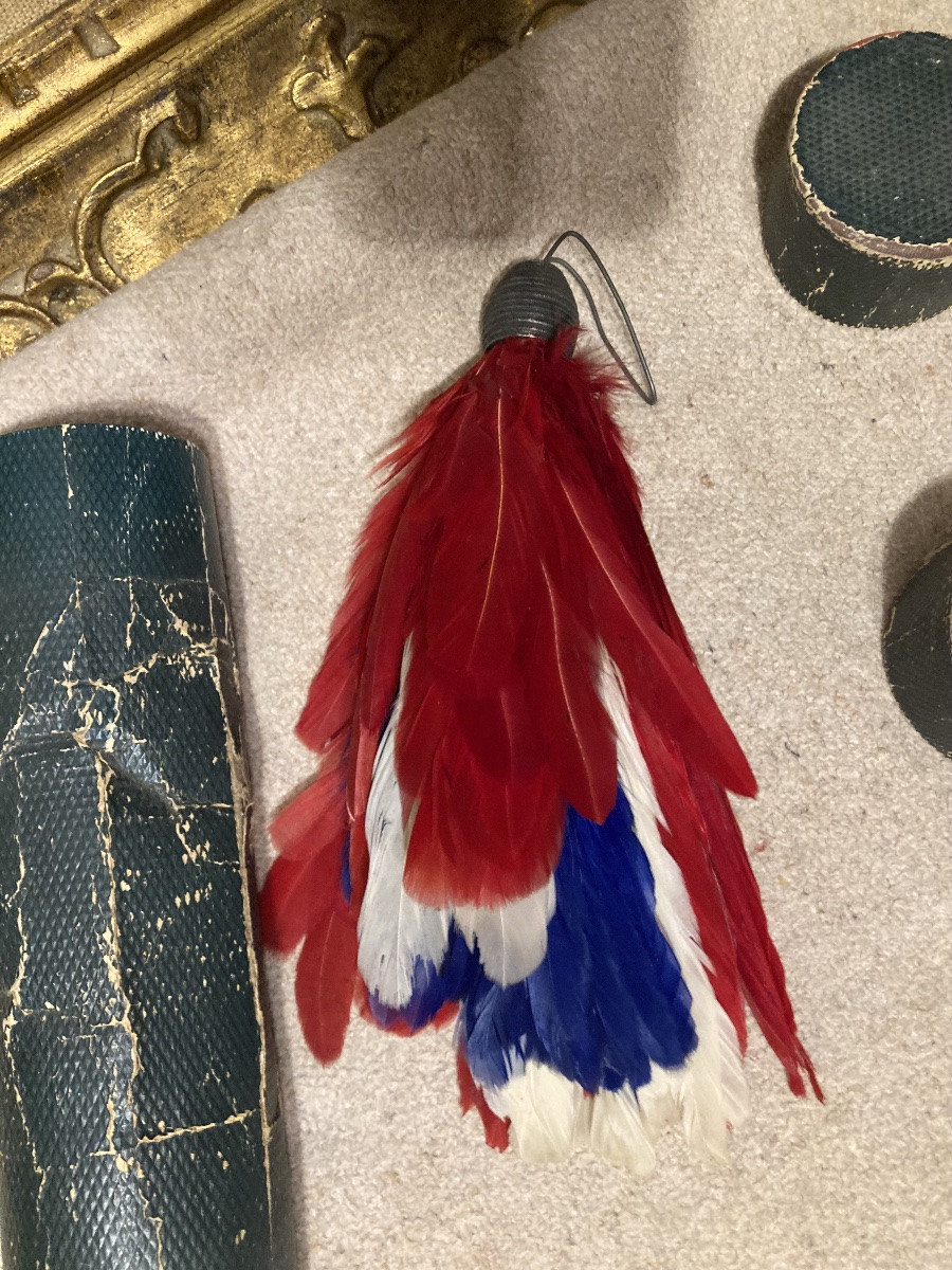 Plumet pour Shako où Képi d’Officier d’Etat-Major. Second Empire.-photo-3