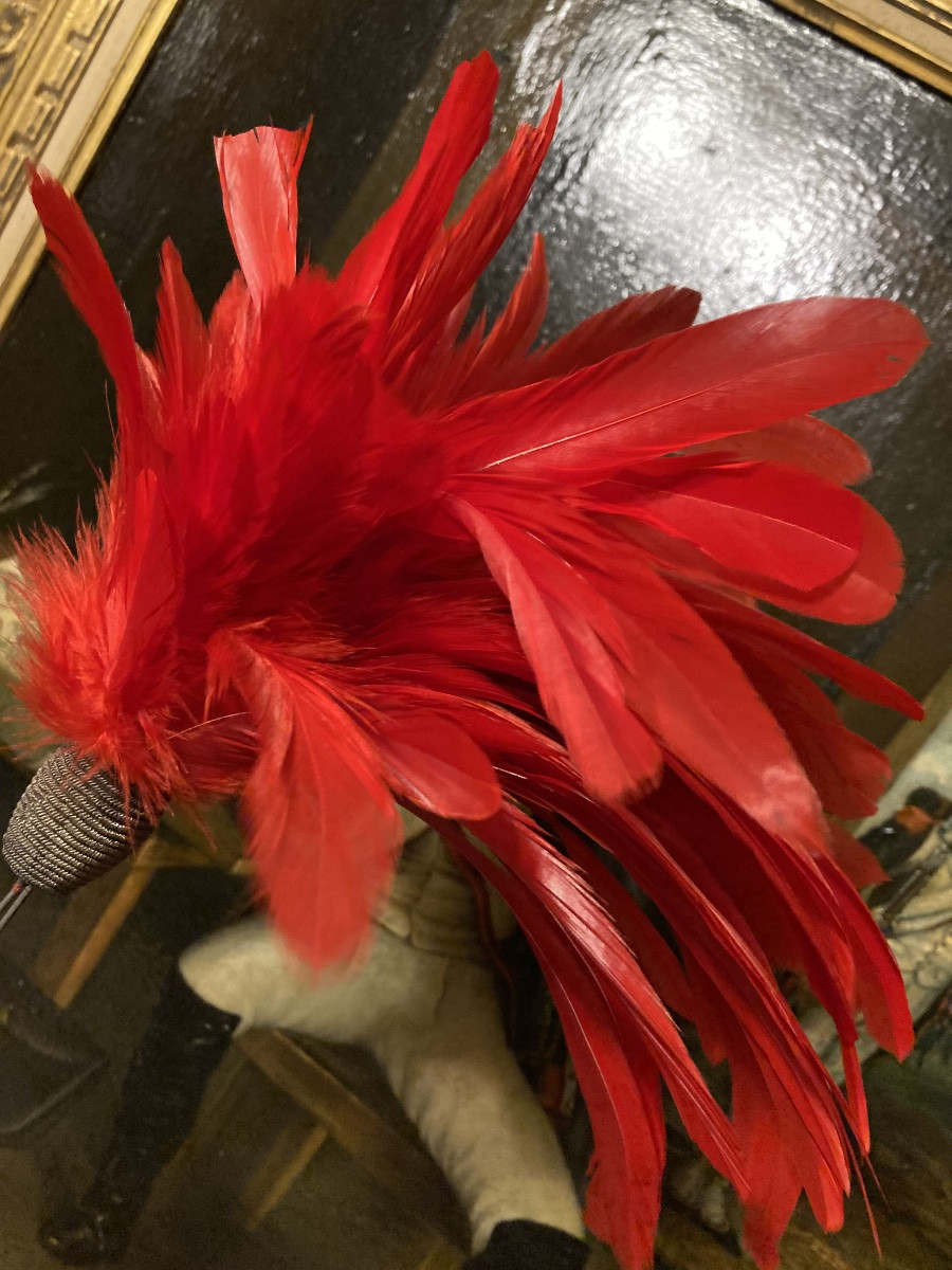 Plumet For Scarlet Shako Or Kepi 19th Century France-photo-4