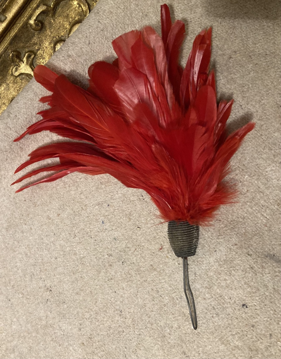 Plumet For Scarlet Shako Or Kepi 19th Century France