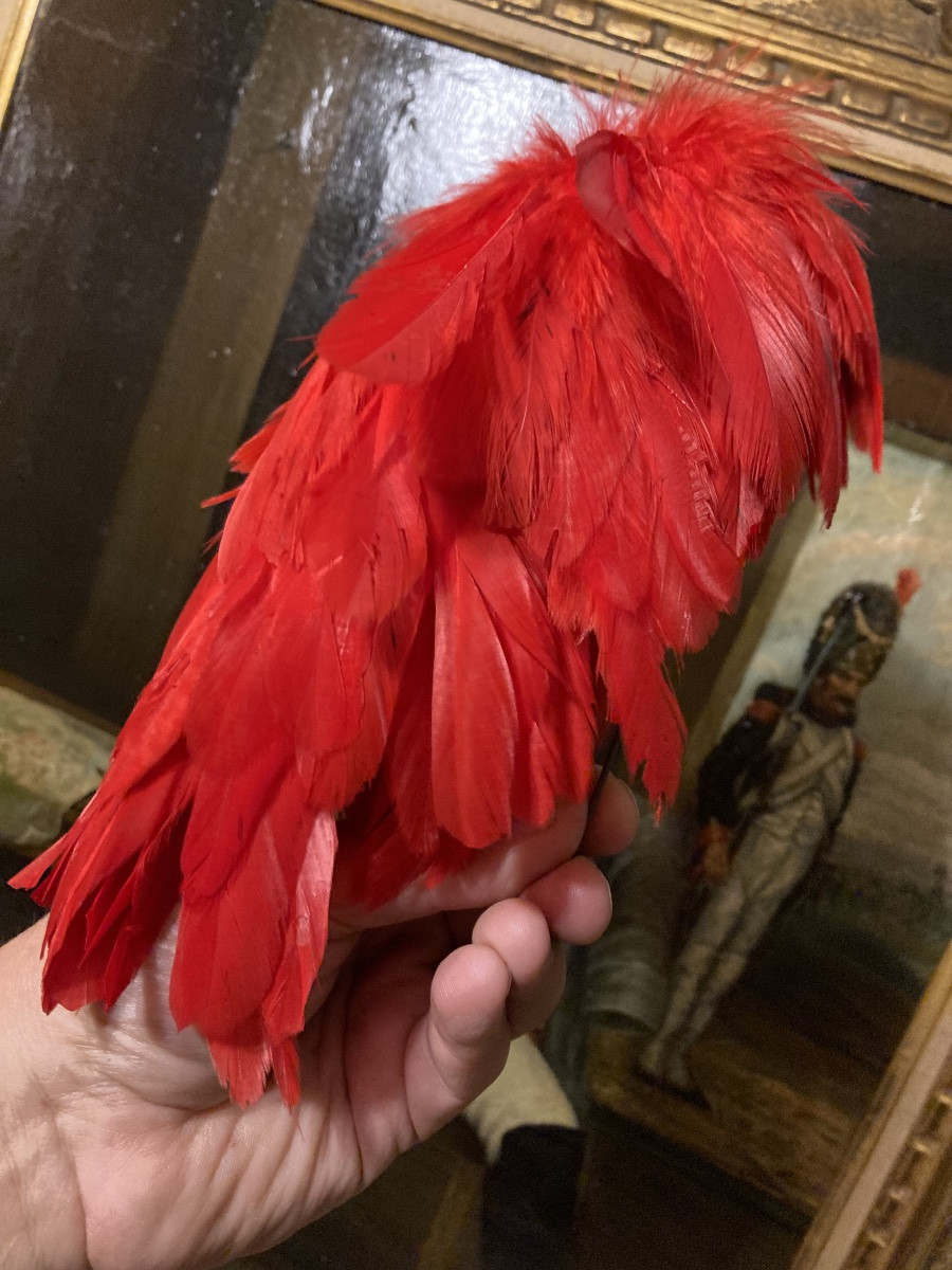 Plumet For Officer's Shako Or Kepi. In Falling Scarlet Rooster Feathers. 19th C. France.-photo-4