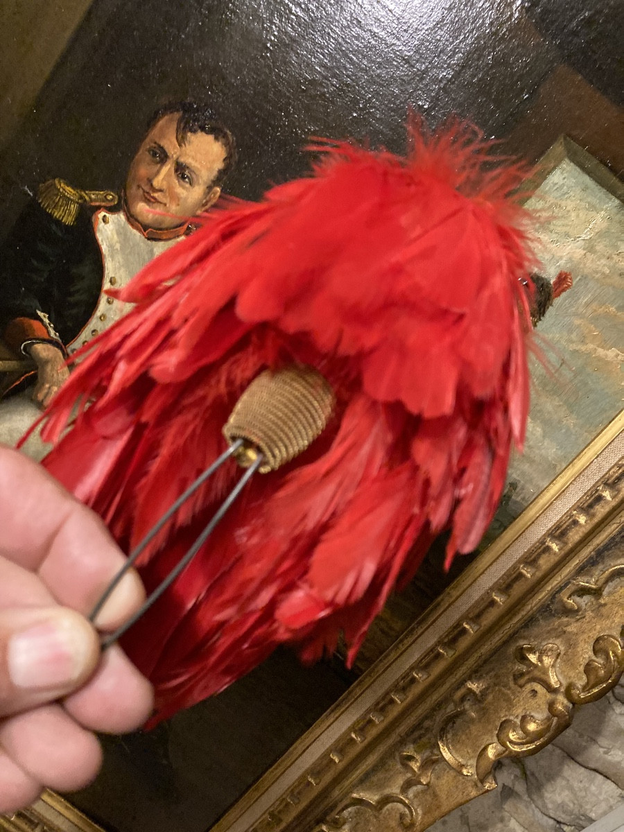 Plumet For Officer's Shako Or Kepi. In Falling Scarlet Rooster Feathers. 19th C. France.