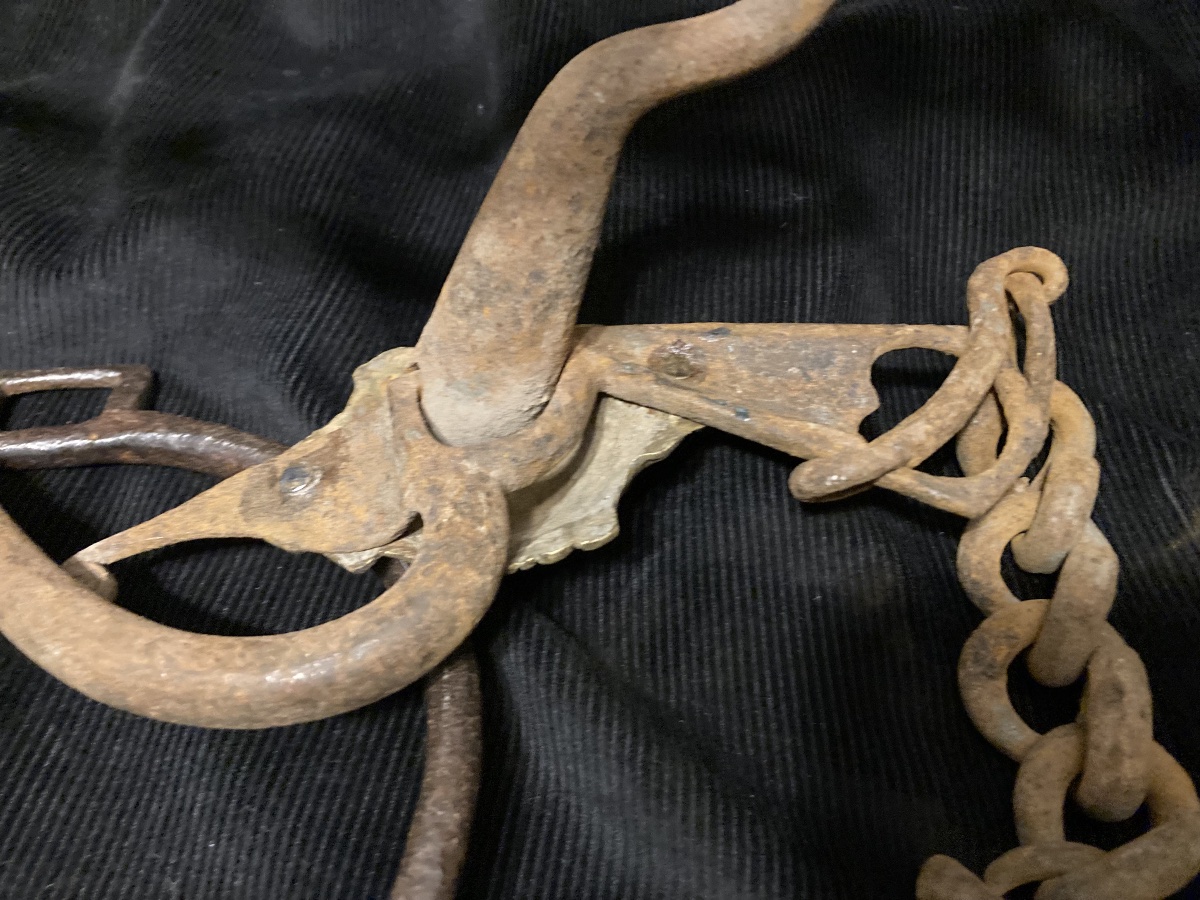 Officer's Bridle Bit Louis XV. 18th Century. France.-photo-4