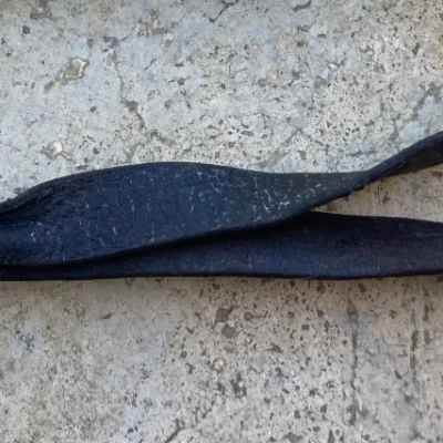 Premiere-Image-1736996