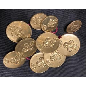 Ensemble de 10 boutons d’officier de la 1ére Restauration d’Infanterie . À la fleur de LYS.