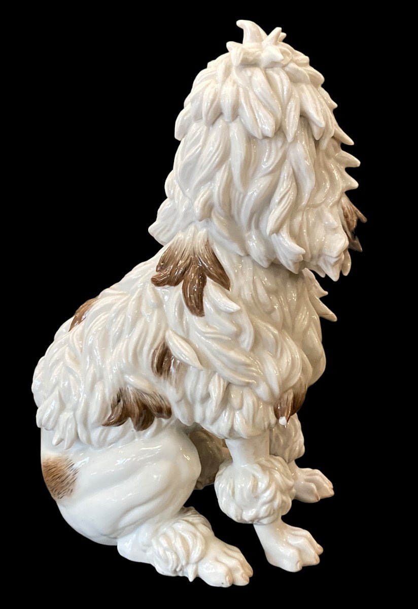 Porcelain Dog. Algora. Spain. Twentieth Century.-photo-3