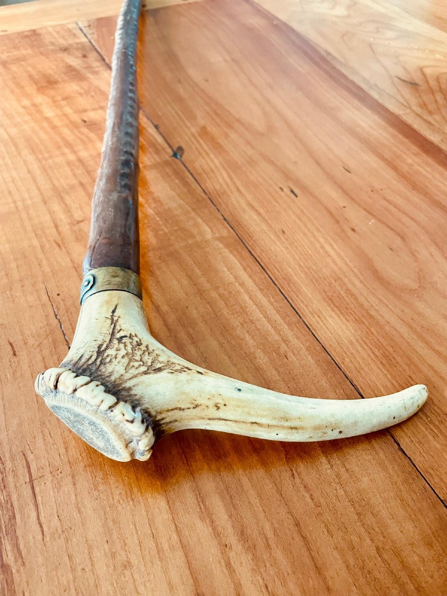 Deer Andouiller Cane